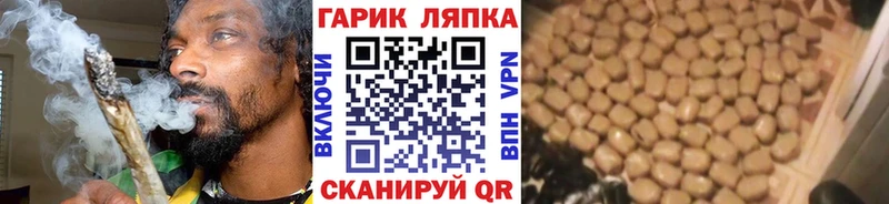 наркотики  Нижний Ломов  Гашиш Cannabis 