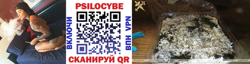 Галлюциногенные грибы Psilocybine cubensis  Нижний Ломов 